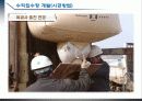 강변여과수 개요 28페이지