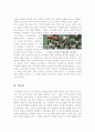 용서받지 못한 자+인빅터스영화 감상문 9페이지