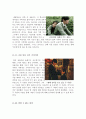[사랑영화][멜로영화]지금만나러갑니다+세렌디피티+말할수없는비밀 영화감상문 5페이지