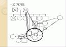 구조적가족개입-가족복지 18페이지