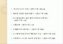 윤리강령비교_최종 7페이지