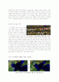 [환경오염][환경오염영화]지구가 멈추는 날+불편한진실+더코브-슬픈돌고래의진실 영화감상문 10페이지
