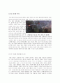 [올해최신A+자료]지옥의묵시록영화감상문[지옥의묵시록][전쟁영화][지옥의묵시록 감상문][지옥의묵시록 영화감상][지옥의묵시록]  5페이지