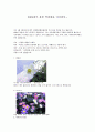 [견학]2009광주 봄꽃 박람회를 다녀와서 1페이지