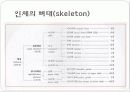 뼈대계통 총론 3페이지
