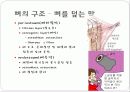 뼈대계통 총론 10페이지