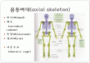몸통뼈대(axial skeleton) 머리뼈(skull) 2페이지