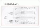 몸통뼈대(axial skeleton) 머리뼈(skull) 3페이지
