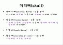 뒤통수뼈(occipital bone) 관자뼈(temporal bone) 나비뼈(sphenoid bone) 5페이지