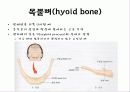 뒤통수뼈(occipital bone) 관자뼈(temporal bone) 나비뼈(sphenoid bone) 16페이지