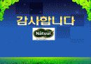 마케팅 후발주자 전략(나뚜루 아이스크림) 20페이지