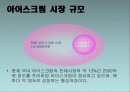 나뚜루 natuur 마케팅전략분석 2페이지