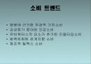 나뚜루 natuur 마케팅전략분석 12페이지
