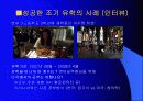 조기유학 순기능과 역기능(인터뷰자료포함) 12페이지