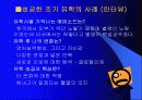 조기유학 순기능과 역기능(인터뷰자료포함) 13페이지
