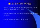 조기유학 순기능과 역기능(인터뷰자료포함) 16페이지
