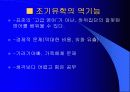 조기유학 순기능과 역기능(인터뷰자료포함) 17페이지