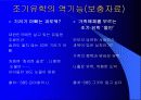 조기유학 순기능과 역기능(인터뷰자료포함) 19페이지