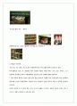 국제마케팅_3조_레포트 48페이지