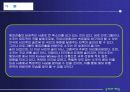 해외시장 유통전략 4페이지