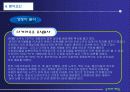 해외시장 유통전략 11페이지