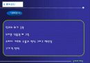 해외시장 유통전략 12페이지