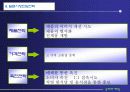 해외시장 유통전략 13페이지