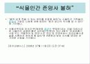 간호윤리에 대하여 4페이지