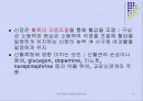 신장비뇨기장애_대상자_간호(구조와기능) 11페이지