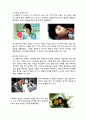영화분석 비밀 3페이지
