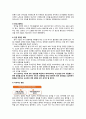 일본 자동차 산업의 특징과 현황 및 전망 분석 18페이지