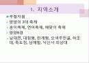 쏠비치리조트 축제 구성 4페이지