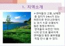 쏠비치리조트 축제 구성 5페이지