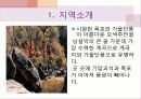 쏠비치리조트 축제 구성 7페이지