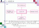 상품관리 핸드폰마케팅전략 17페이지