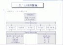 시장의개념소비자분석자사및경쟁분석 14페이지