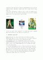 아이리버마케팅전략분석 14페이지