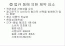 유니더스사의애티켓기획서콘돔 31페이지