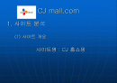 인터넷마케팅cjmall 2페이지