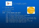 인터넷마케팅cjmall 5페이지