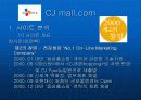 인터넷마케팅cjmall 6페이지