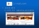인터넷마케팅cjmall 27페이지