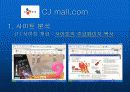 인터넷마케팅cjmall 29페이지
