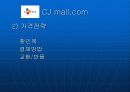 인터넷마케팅cjmall 43페이지