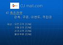 인터넷마케팅cjmall 48페이지