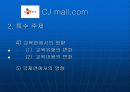 인터넷마케팅cjmall 64페이지