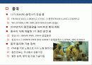원자력발전의 국내 세계적 동향 문제점에 대한 이해 6페이지