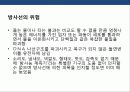 원자력발전의 국내 세계적 동향 문제점에 대한 이해 18페이지