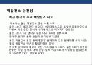 원자력발전의 국내 세계적 동향 문제점에 대한 이해 26페이지