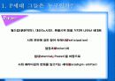 P세대소비자분석보고서 3페이지